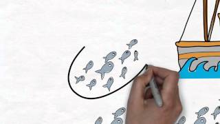Oily fish animation - Food systems case study