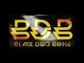 Black Dog Bone (BDB) -   Penghibur & Pemberitahu