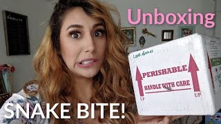 Ball python Unboxing Coolest snake!