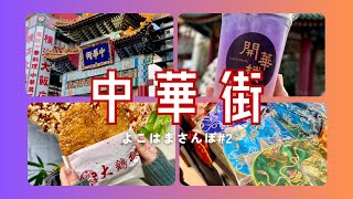 【よこはま散歩/Vlog】中華街お散歩してきました！