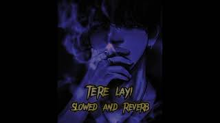 Tere Layi - ( Slowed and Reverb)Sidhu Moose Wala( AI Audio)_  New Song 2023_ Sidhu Melodies#slowed