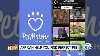 App can help you find perfect pet
