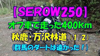 【SEROW250】オフ車で走った400km秋鹿･万沢林道（1/2）群馬のダートは遠かった！