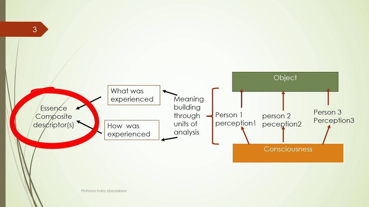 What Is Phenomenology? - YouTube