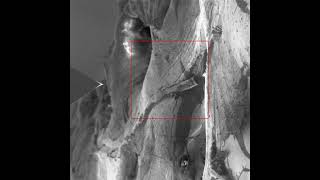 LiteScope AFM tip navigation via SEM to the fibre profile