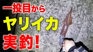 【一投目からまさか】越前海岸にヤリイカ釣りに行ってみた！