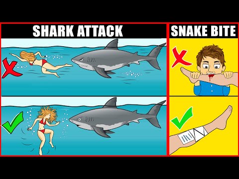 What is the safest animal?