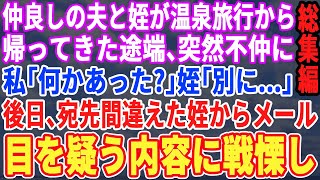 【スカッと☆厳選5本総集編】夫と仲良しの中3の姪が温泉旅行から帰宅した途端不仲に。私「何かあったの？」姪「別に何もない…」→心配していると私のスマホに宛先を間違えた姪からメールが…目を疑う内容に警察へ