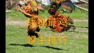 【战锤2 全面战争】全领主斗鸡大赛，谁才是真正的鸡王？战锤五大最鸡领主排行！