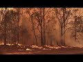 How you can help Australian bushfire victims