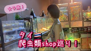 タイで爬虫類shop巡り！🇹🇭