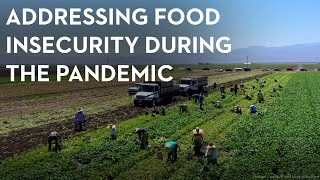 A Global Effort to Help Neighbors Feed Neighbors during the Pandemic
