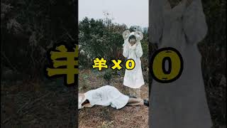 杨超越老师对不 实在忍不住拍了，如有冒犯见谅杨丞琳 伍佰老师sorry #谐音梗 #万物皆可谐音梗 #沙雕