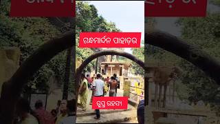 ଗନ୍ଧମାର୍ଦ୍ଦନ ପାହାଡ଼ର ଗୁପ୍ତ ରହସ୍ୟ // #viral #youtubeshorts #shortsvideo #shorts #the_adventure_pro