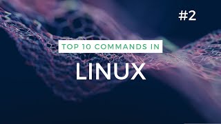 Basic Linux Commands for Beginners (Part 2)