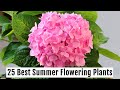 Grow These 25 BEST Summer Flowering Plants This Season - PART 1