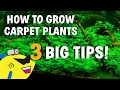 3 AQUARIUM CARPET PLANT TIPS! How To Grow Carpeting Plants BETTER