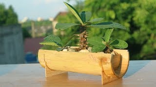 How to make bamboo Plant pots beautiful | Idea Of Making Plant Pots At Home