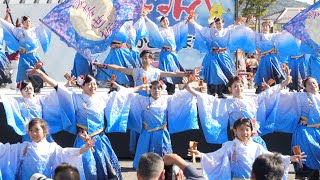 憂喜世桜 桜花〜夢は舞う〜』📍​おどるんや～第20回 紀州よさこい祭り～ (和歌山ビッグホエール屋外演舞場) 2024-11-09T12:06