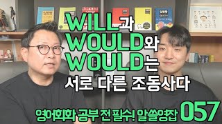 알쓸영잡 057 - will과 would와 would는 서로 다른 조동사다