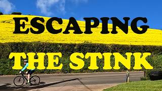 Rapeseed is unpleasant, let's go to London | Ride with me
