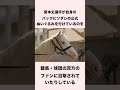 【 競馬 】ソダシの雑学 【 競馬の雑学 】【 ウマ娘 】 競馬 雑学 ソダシ ウマ娘 shorts