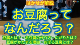 はかせが解説「お豆腐ってなんだろう？」豆腐とは？、お豆腐の作り方、にがりとは？豆腐がかたまる理由、おぼろ豆腐とは？