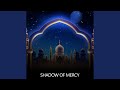 Shadow Of Mercy