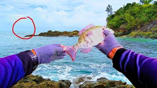 Emperor Fish | Quick Shore Casting | Kastking MaxSteel Travel Rod And Royale Legend 2 Reel