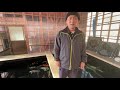 Yagenji Koi Farm | Interview with Mr. Daisuke Ishihara about their koi specialties