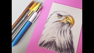 Desenhando águia com canetas esferográficas