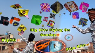 Big Kite Flying🪁 Unique Kite Designs😱 Pipa Kite Flying🙌🏻 Kite Flying On Sunday😍 Vip56