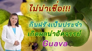 ไม่น่าเชื่อ !! กินฝรั่งเป็นประจำ เกิดผลน่าอัศจรรย์ | Guava | พี่ปลา Healthy Fish