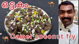 Camel coconut fry!ഒട്ടകം !how to make camel meat Kerala style !malayalam