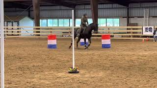 Working Equitation- Ease of Handling- Novice B - Kasey Riddle and Lazer Thyme (T-Man)