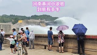 河南黄河小浪底到底有多牛？今天到洛阳一看，终于明白了