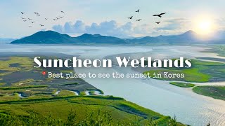Travel in Korea 🇰🇷 |  Korea's Best Place to See Sunset | Suncheon Wetlands