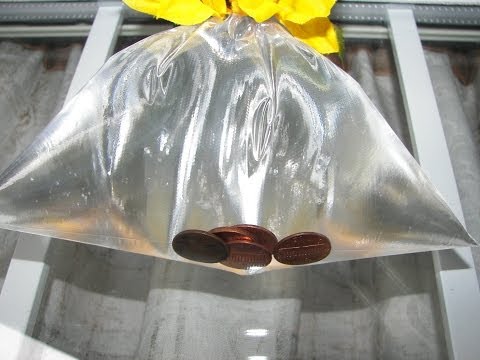 Get Rid of Houseflies - Pennies in Bag Get Rid of Houseflies - Pennies in Bag