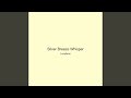 Silver Breeze Whisper