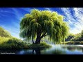 best morning worship songs playlist praise and worship songs 2025 goodness of god give thanks