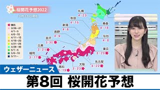 第8回【桜開花予想2022】今週末は満開ラッシュ　来週は桜前線が北陸・東北へ