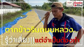 ตากข้าวริมถนนหลวง... รู้ว่าเสี่ยง!! แต่จำเป็นต้องทำ : เรื่องเด่นทั่วไทย