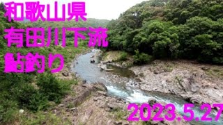 2023.5.27 和歌山県 有田川下流 鮎釣り (友釣りで攻めた)