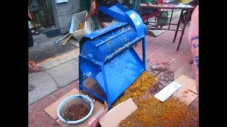 almond meat kernel separator apricot kernel shelling machine