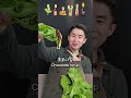 겉바속촉 바삭한 채소 아이스플랜트 asmr 소스 먹방