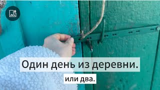 Куры-козы. Все смешалось. Гостим со мной в деревне. Готовим в русской печке.