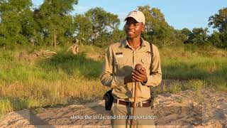 Get to know our students. Collaboration with @WildEarth