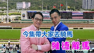 維德解馬 第二四二集  今集帶大家去騎馬