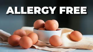 Scientists Develop Allergy Free Eggs