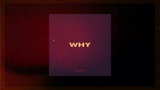 Le John - Why (Official Audio)